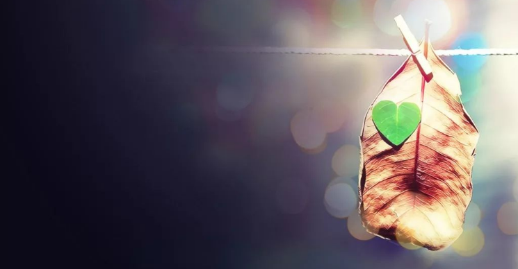 上海市偵探調查:只剩下合適、將就而已