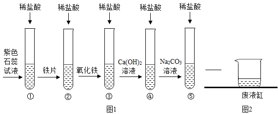 興趣小組的同學對碳酸氫鈉、碳酸鈉、氫氧化鈉的某些性質進行相關探究。
