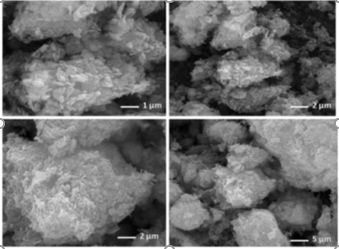 2021年南京農(nóng)業(yè)大學(xué)園藝學(xué)院的那些高水平研究成果