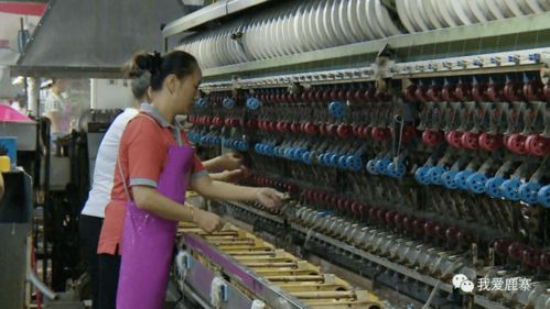 寨沙桑蠶業成為撬動鄉村振興的有力杠桿